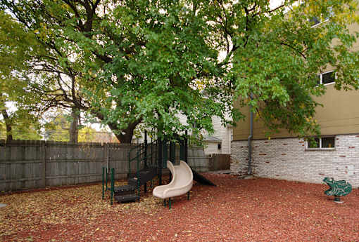 A backyard with a red mulch ground and a tree.
