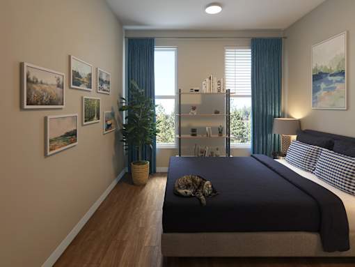 A bedroom with a bed, a cat, and pictures on the wall.