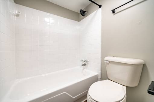 Primary Bathroom at Mountain Place Apartments, Stone Mountain, 30083