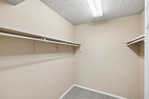 Empty walk-in closet with shelves and a carpeted floor.