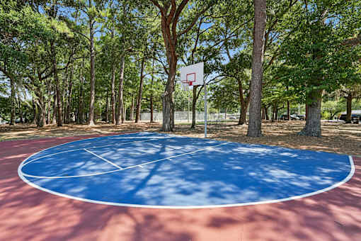 Outdoor basketball court surrounded by mature trees at The Palms Apartments, Charleston, 29407