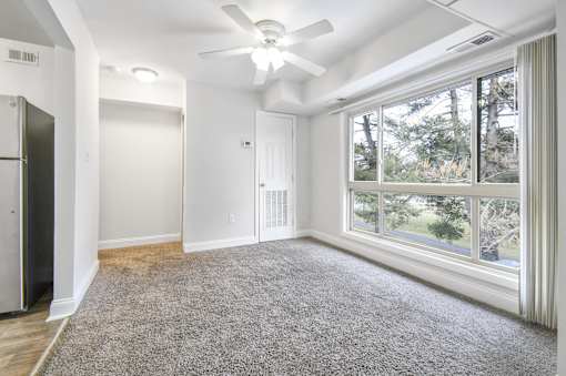 A spacious room with a ceiling fan and a large window overlooking a tree-filled area.