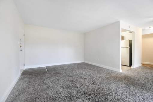 A room with a grey carpet and white walls.