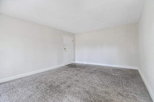 A room with a carpeted floor and a closed door.