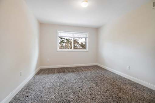 A room with a carpeted floor and a window showing trees outside.