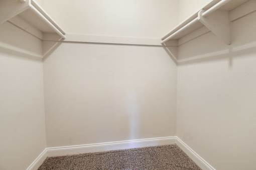 A white closet with a carpeted floor.