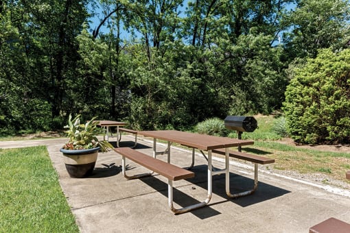 Outdoor picnic and grilling area