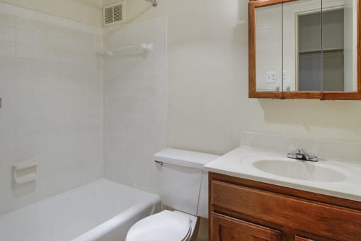 Bathroom with wood vanity