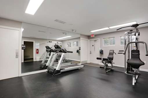 A gym with a treadmill, a weight bench and a squat rack.
