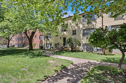 A tree-lined walkway leads to a building.