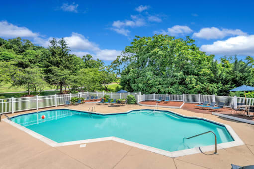 sparkling pool and sun deck