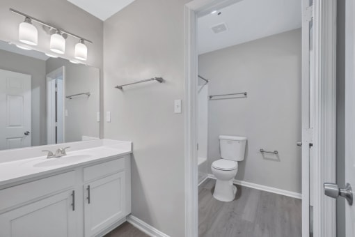 a bathroom with a sink and a toilet and a mirror