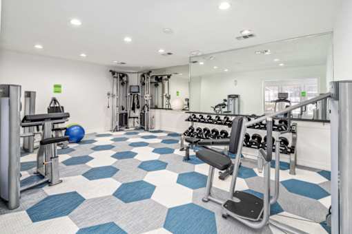 A gym with a blue and white floor.