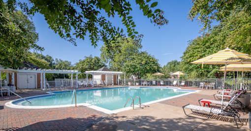 A pool surrounded by trees and umbrellas.