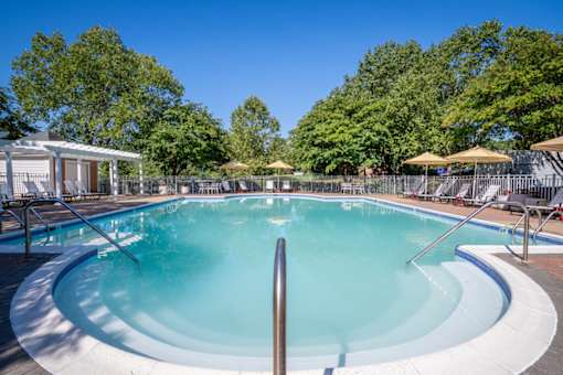 A large outdoor swimming pool surrounded by trees and umbrellas.