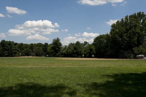 A grassy field with trees in the background and a cloudy sky above.