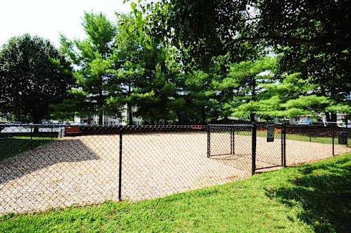A chain link fence surrounds a playground.