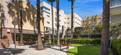 BBQ courtyard with a bench and palm trees in front of apartment buildings