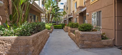 a walkway between two apartment buildings with bushes and plants