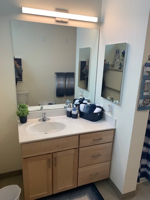 Bathroom sink and vanity mirror