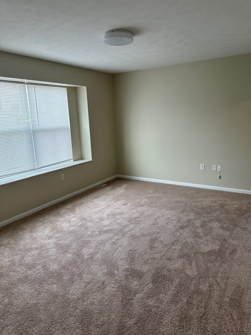 a bedroom with a large window and beige carpet