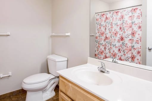 Bathroom-Legends Park Apartments, Memphis, TN