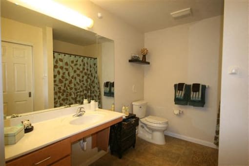 Apartment bathroom-Senior Living at Cambridge Heights Apartments, St. Louis, MO