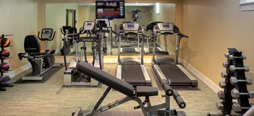a gym with cardio equipment and a tv on the wall