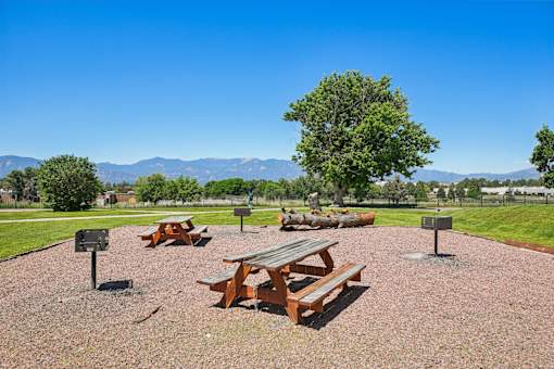 Picnic tables and benches are set up in a gravel area with a tree and mountains in the background.
