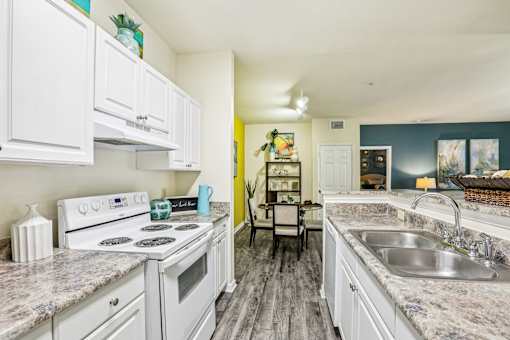 Kitchen with granite countertops and double sink at The Arbor Walk Apartments, Florida