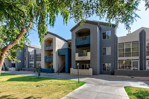 A modern apartment building with a tree in the foreground at Sweetwater At Metro North Apartments, Phoenix  85029