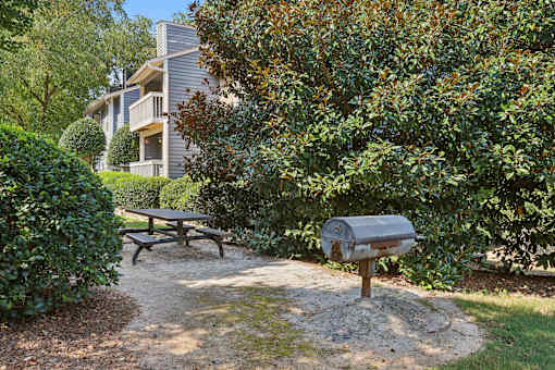 Picnic And BBQ at Canopy Glen, Norcross, GA, 30093