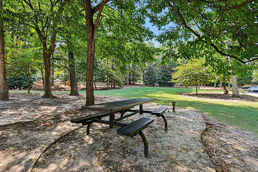 Picnic Table at Canopy Glen, Norcross, Georgia