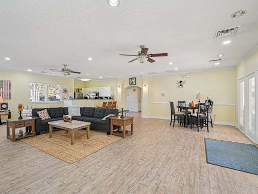 A spider is on the wall in the living room. at Cedar Springs Apartments, Raleigh