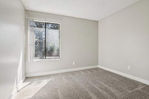A room with a carpeted floor and a window. at Windmill Apartments, Colorado Springs, Colorado