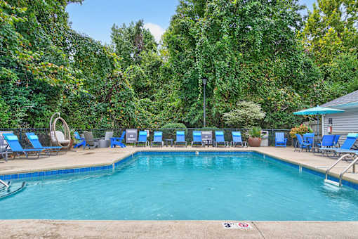 A pool surrounded by trees and chairs.at Lofts of Wilmington Apartments, Wilmington, North Carolina
