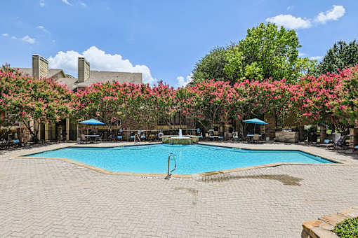 A swimming pool surrounded by pink flowering trees.