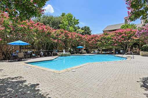 A pool surrounded by pink flowering trees.