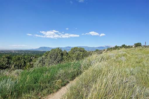 A trail winds through a grassy field with a mountain in the distance.
