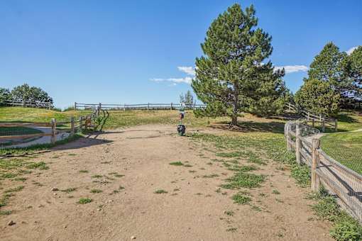 A dirt path leads to a playground with a swing set.