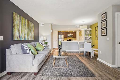 A living room with a grey couch and a grey rug.