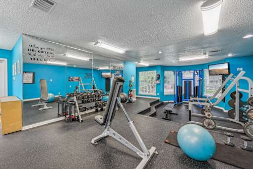 A gym with a blue wall and a variety of equipment.