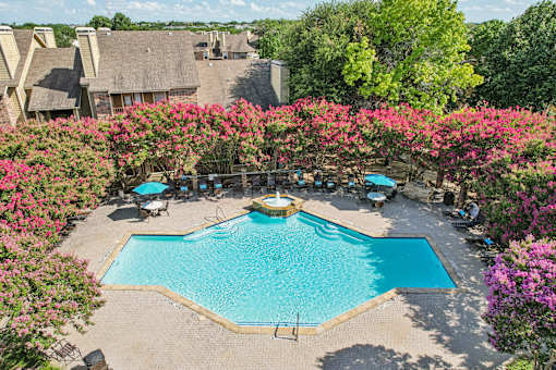 A pool surrounded by pink flowers and a thatched roof building in the background.