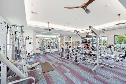 a gym with weights and a ceiling fan at Edge75, Naples, Florida 34104