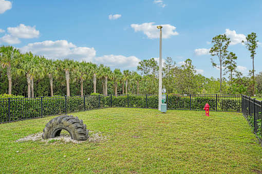 a tire in a field with a fire hydrant and a pole at Edge75, Naples, Florida 34104