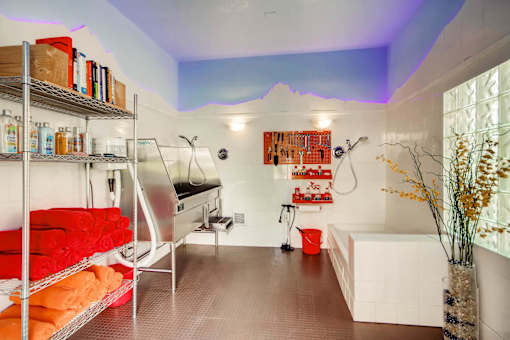 Dog Wash at Heritage at Stone Mountain, Northglenn, CO, 80233