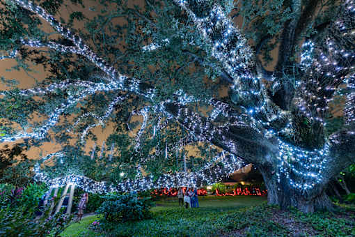 Celebration in the Oaks - City Park at Esplanade at City Park, New Orleans, LA, 70119