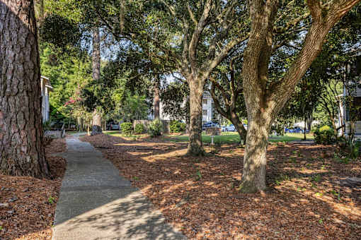 A tree-lined walkway in a park at River Crossing Apartments, Thunderbolt