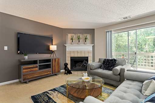 Living room with couches and a tv and a fireplace at University Ridge Apartments, Durham, NC, 27707