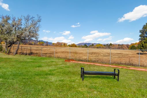 Picnic Area at Broadmoor Springs, Colorado Springs, Colorado